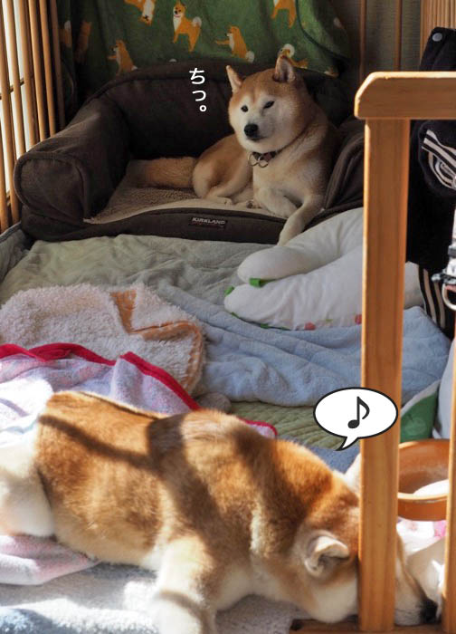 9日夜ブログ７