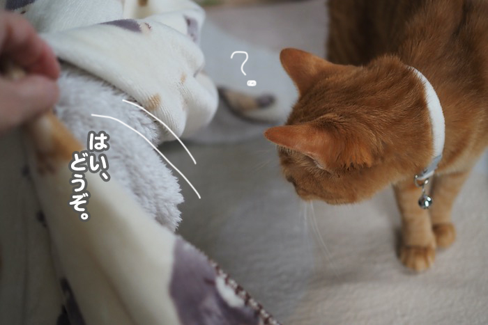 28日夕ブログ５