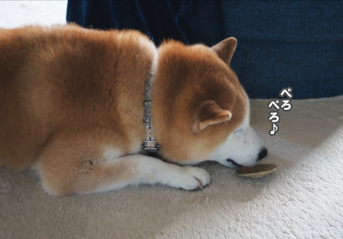10日夕ブログ５