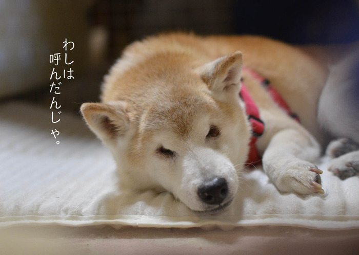 31日ブログ6