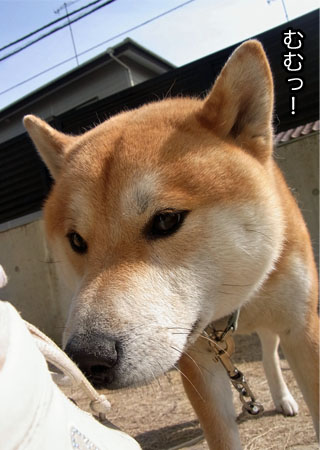 16日ブログ１０.jpg