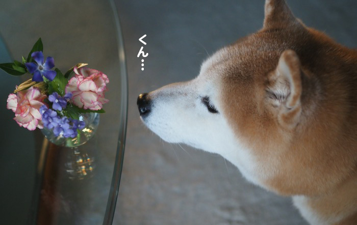 17日ブログ２
