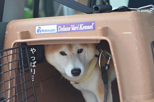 24日ブログ5