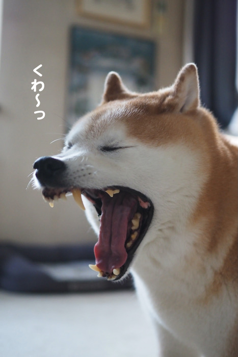 3日ブログ４