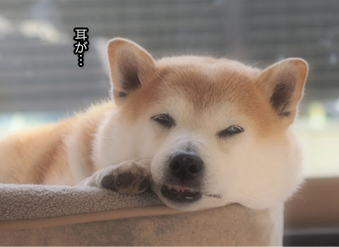 3日ブログ16.jpg