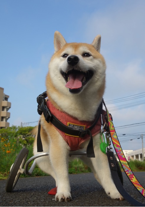 17日ブログ３