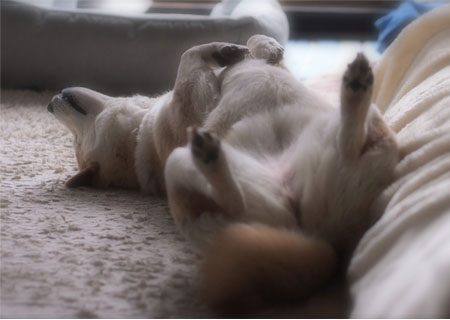 10日ブログ3.jpg