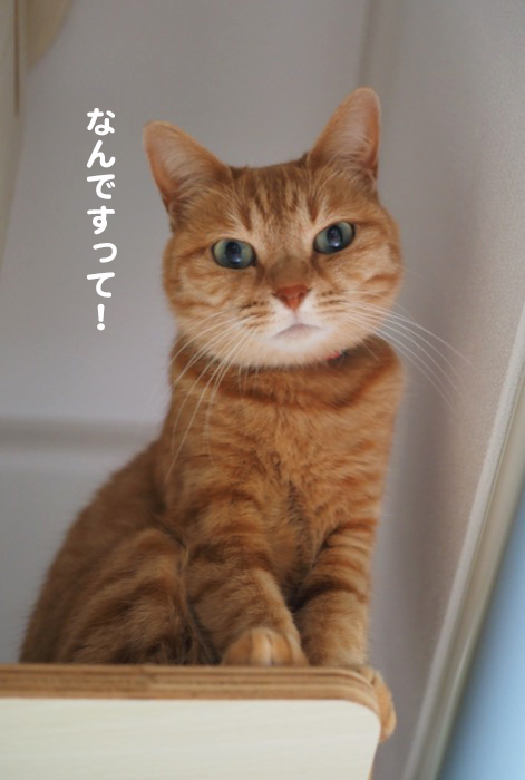 20日午前ブログ２