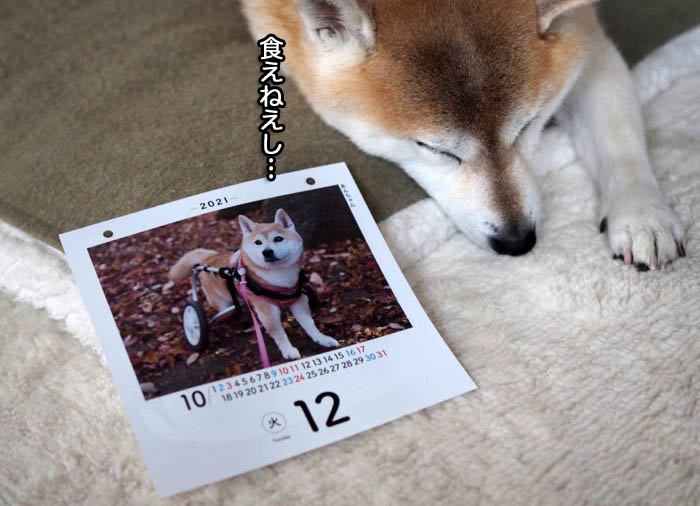 30日ブログ６