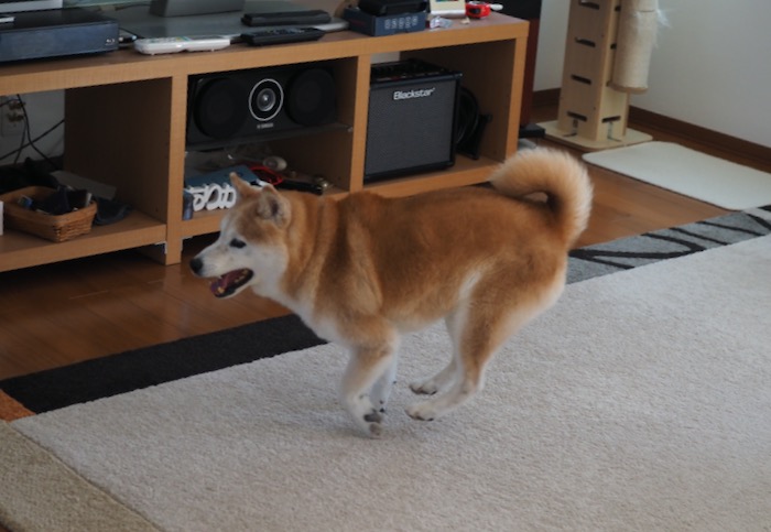 21日ブログ３