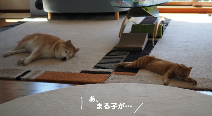 15日ブログ２