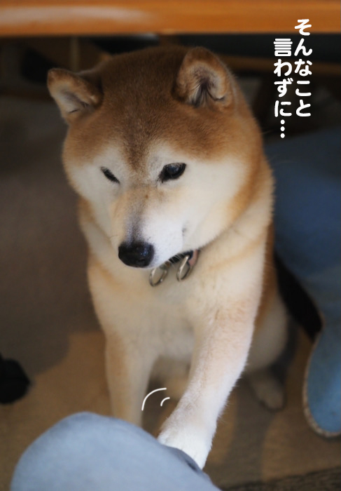19日ブログ２