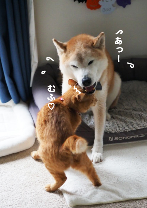 23日ブログ4