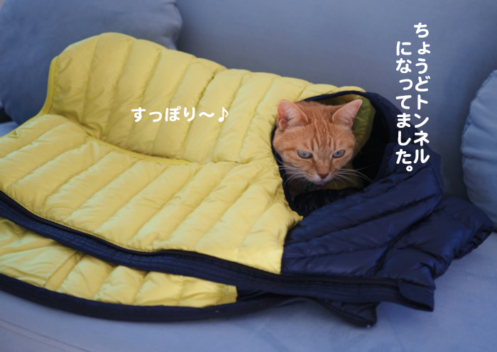 20日ブログ３