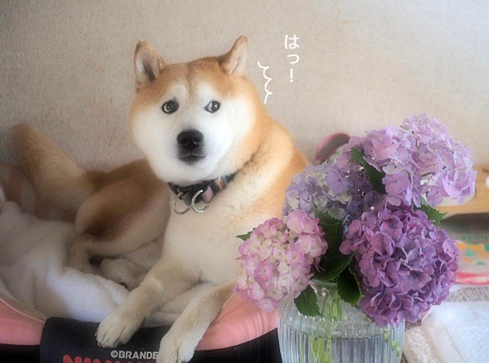 13日ブログ５