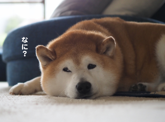 6日午前ブログ２