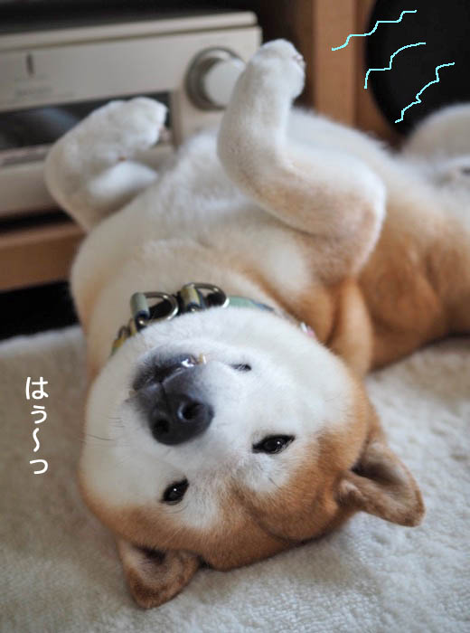 1日夜ブログ３