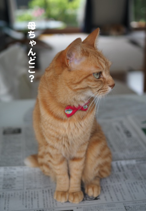 11日ブログ２