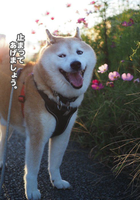 7日夜ブログ４