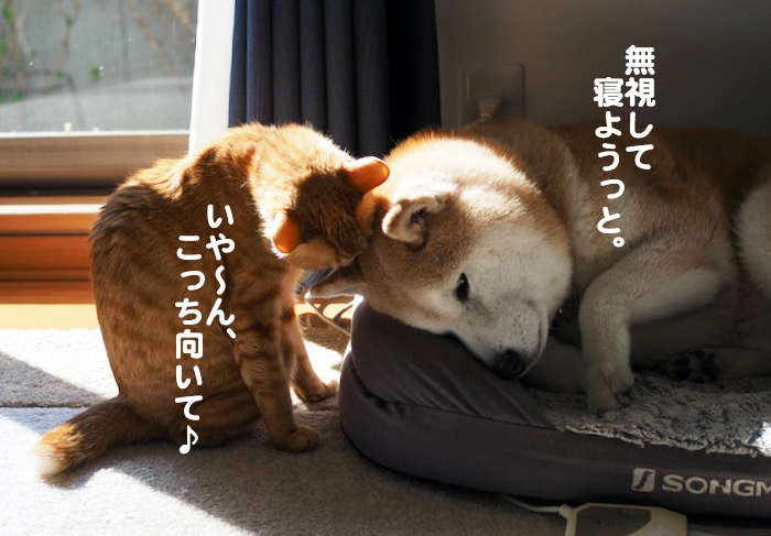 30日夕ブログ8
