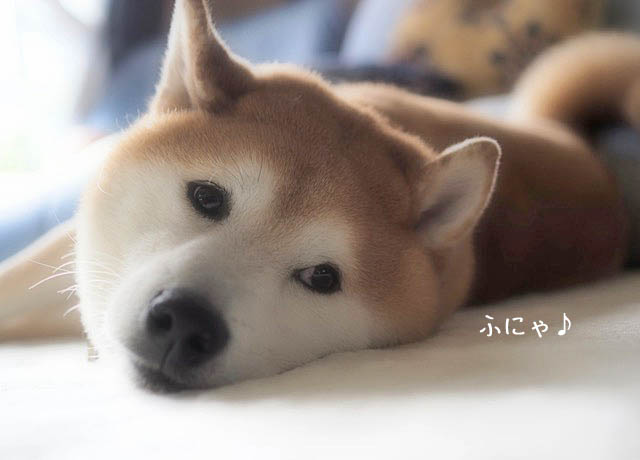 7日午後ブログ5