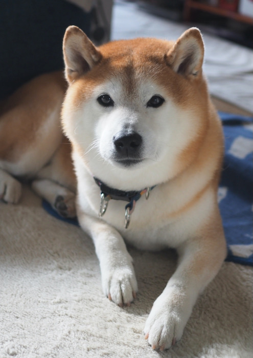 20日夜ブログ２