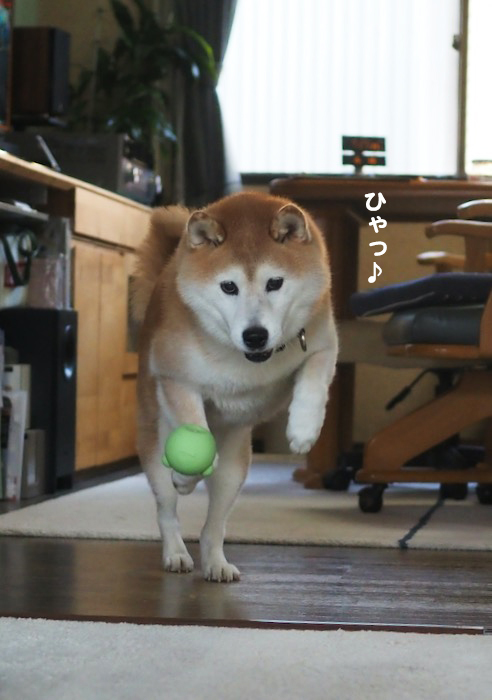 21日夕ブログ３
