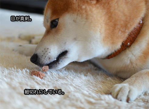 31日ブログ12.jpg