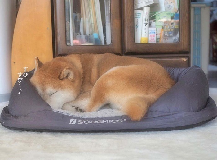 2日ブログ１４
