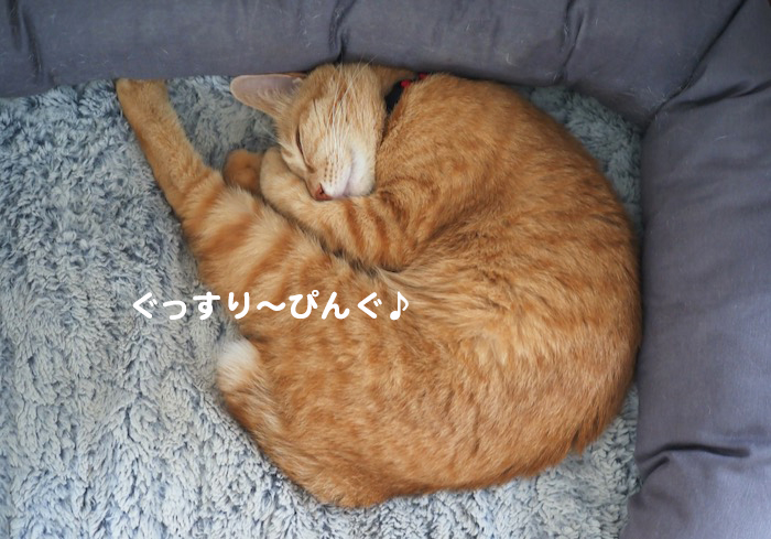 11日ブログ９