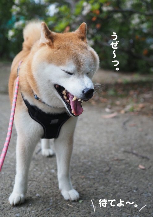 23日ブログ３