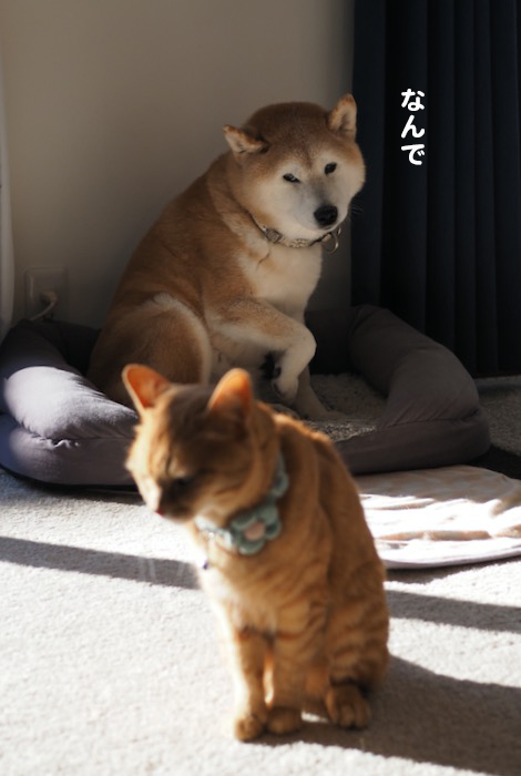 10日ブログ１