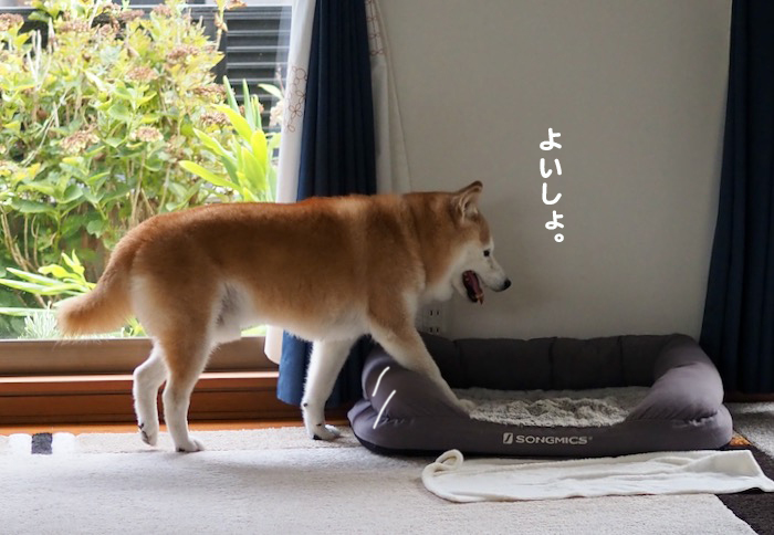 2日夕ブログ２
