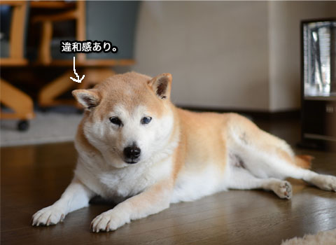 7日ブログ3.jpg