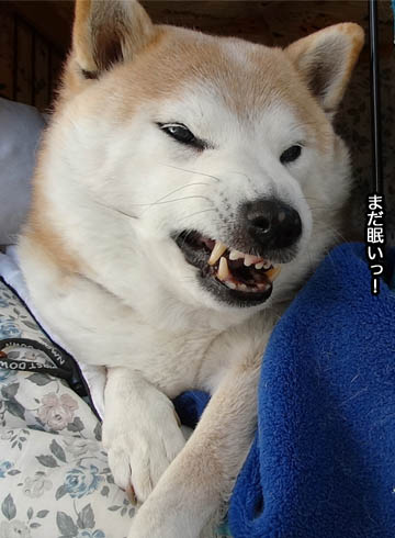 10日ブログ6.jpg