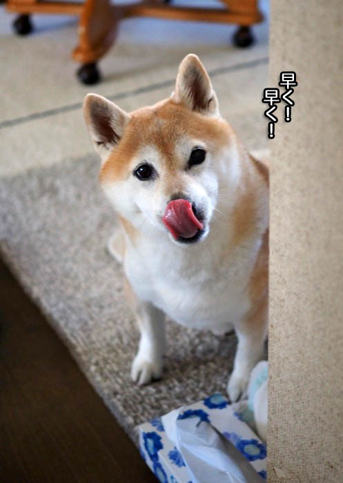 9日ブログ2