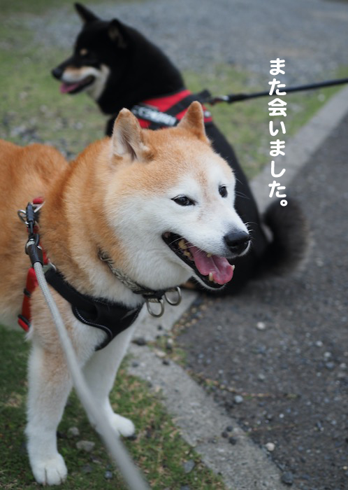 23日夕ブログ2