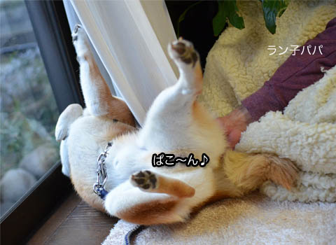 29日ブログ15.jpg