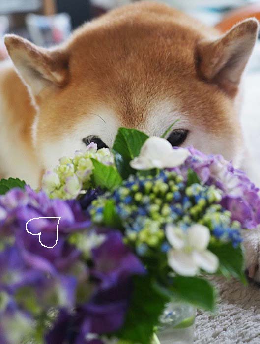 3日夜ブログ９