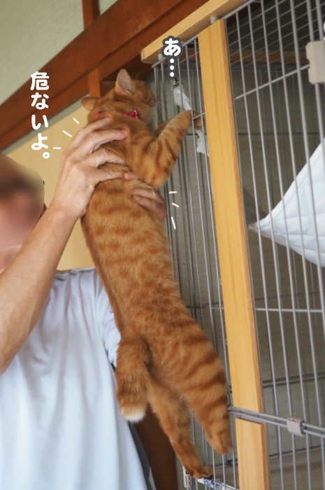 13日夕ブログ５