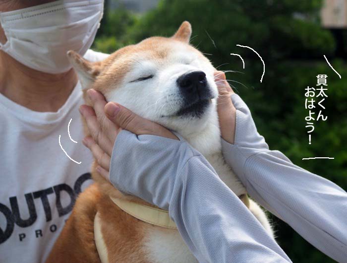 4日夕ブログ７