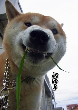 9日ブログ11.jpg