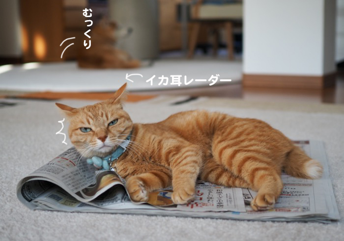 15日ブログ５