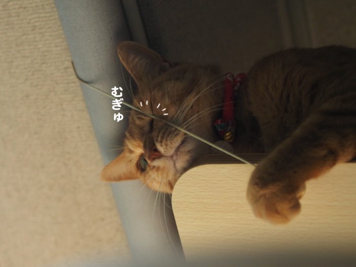 5日夕ブログ７