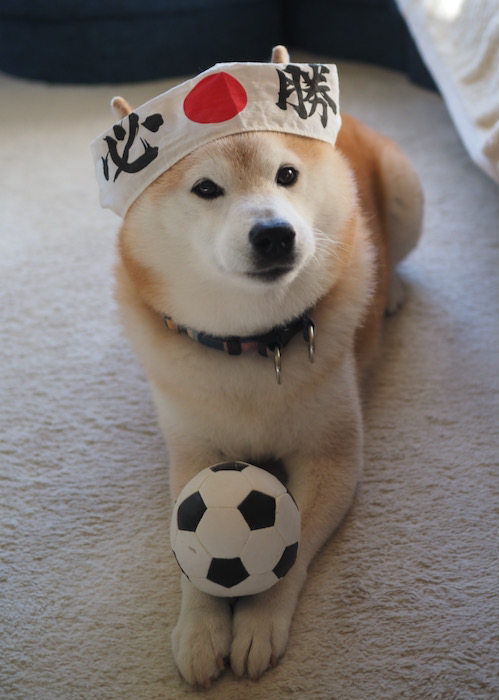 24日ブログ１