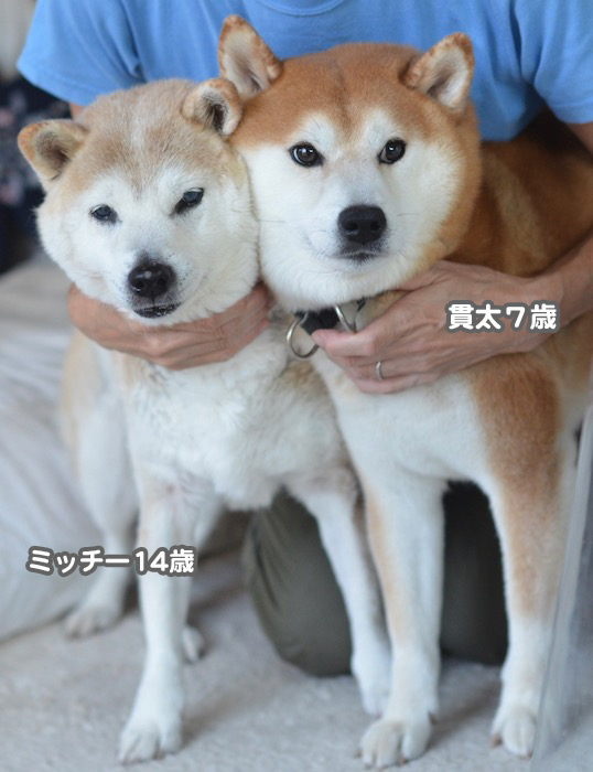 13日ブログ3