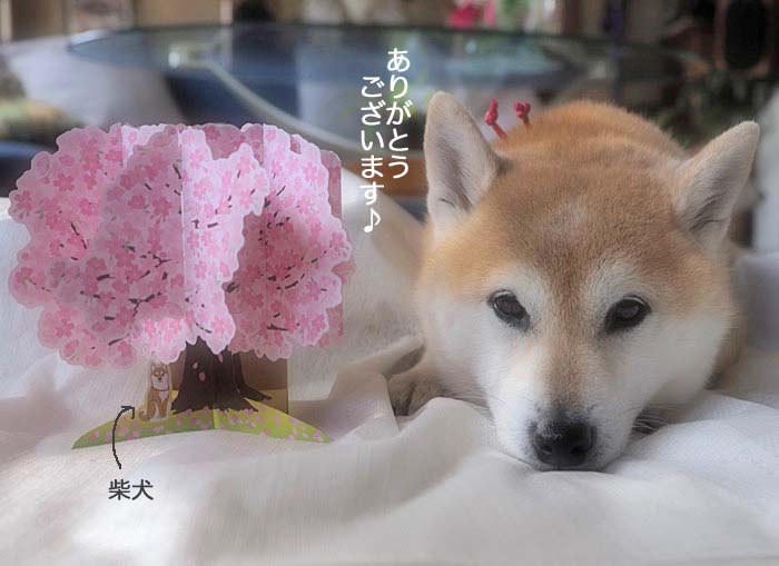 3日午後ブログ３