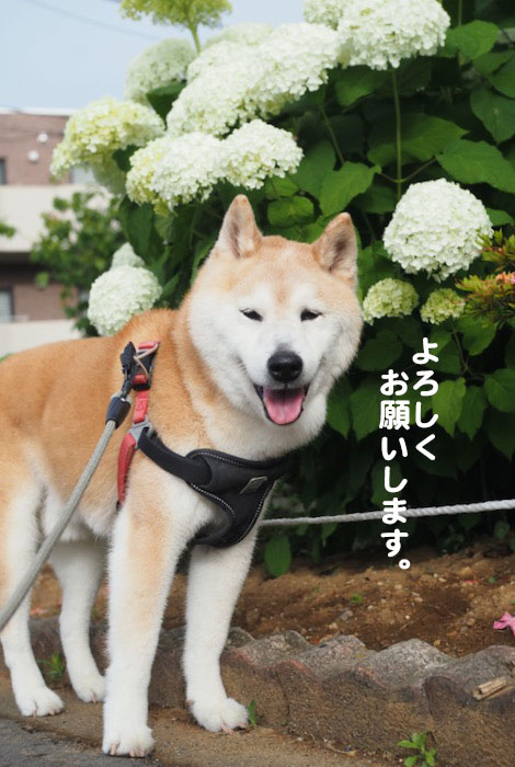 30日夕ブログ５