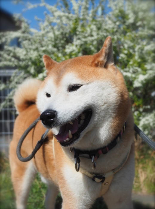 23日午後ブログ４