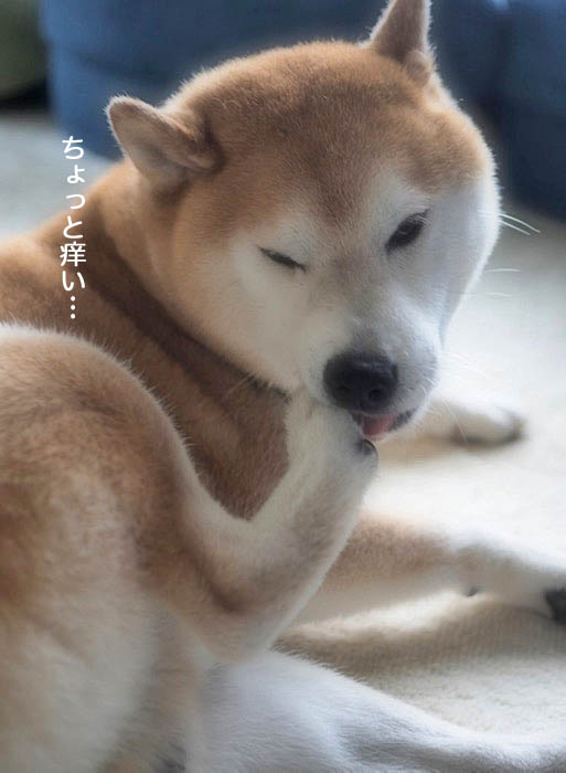 22日ブログ４